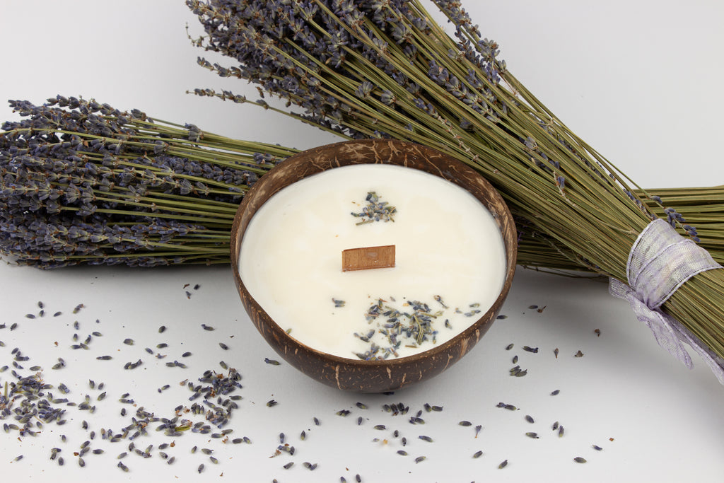 Lavanda