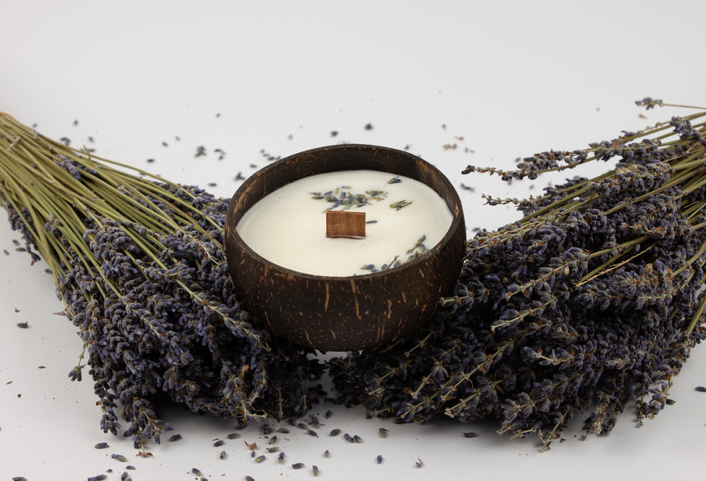 Lavanda