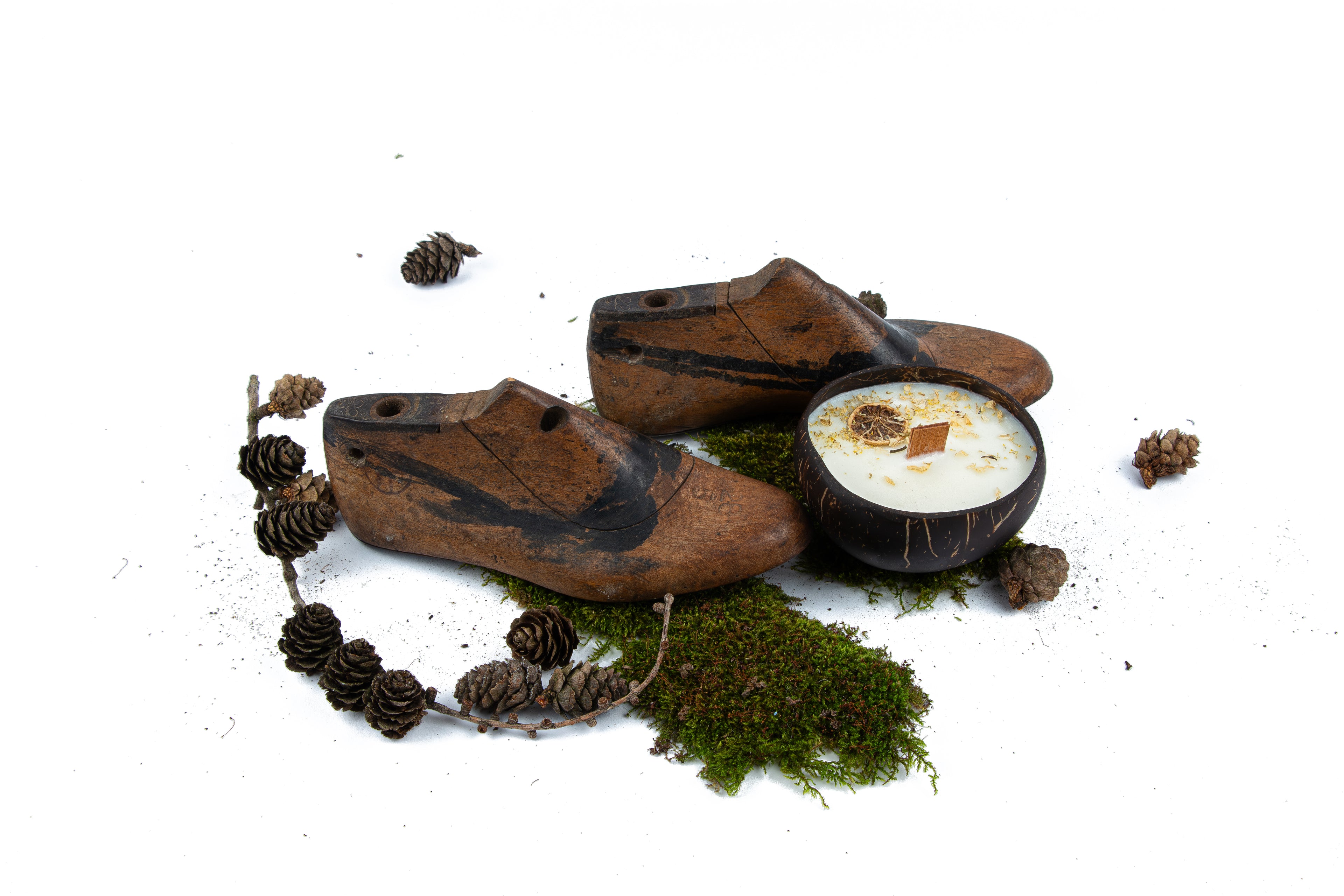 Passeggiata nel Bosco